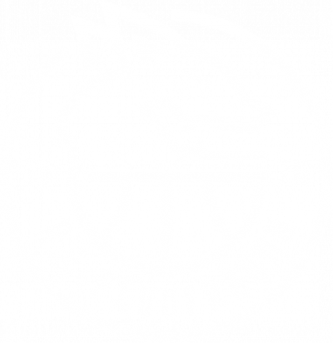 Logo AL PLOUFRAGAN BASKET-BALL